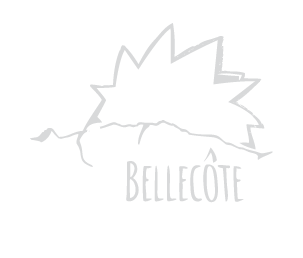 Bellecôte Ramonage
